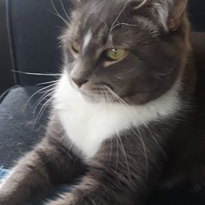 Meet your Posher, Margi